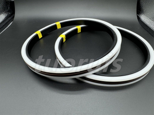 Double-Acting Piston Sealing Zp Set Rubber-Fabric Sealszp140