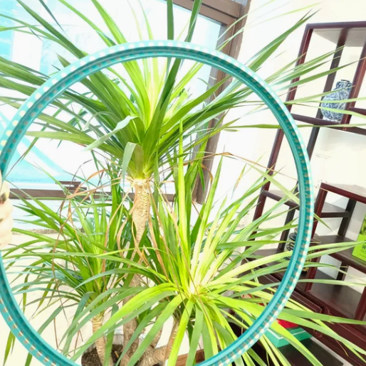 Global Supply Chain R35-815*865*25 R35 U-Type Fabric Reinforced Oil Seals