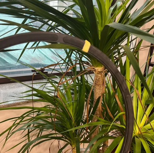 Promotion R35-272*304*15.8 R35 U-Type Fabric Reinforced Oil Seals