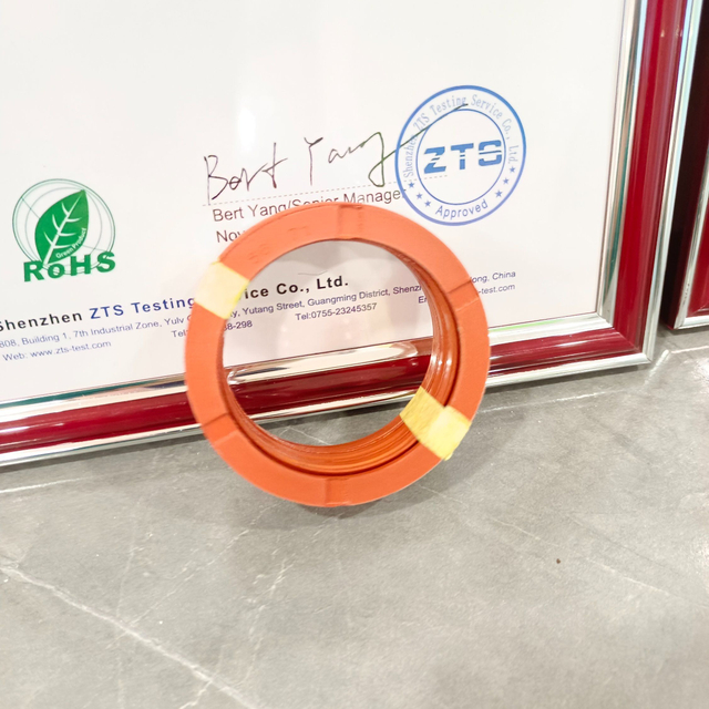 New Design Wholesale V-Type Fabric-Reinforced Oil Seal/Kit