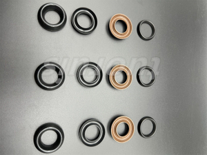 Pressure Washer Interpump Pump V Type Water Seal Kit 69 for Ws201 Ws202