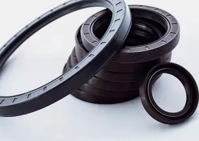 DM_20241224164926_001