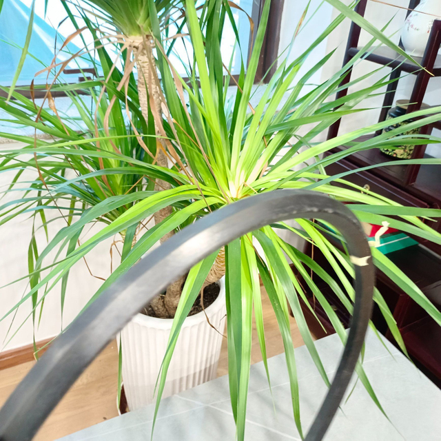 in Stock R35-690*740*22 R35 U-Type Fabric Reinforced Oil Seals