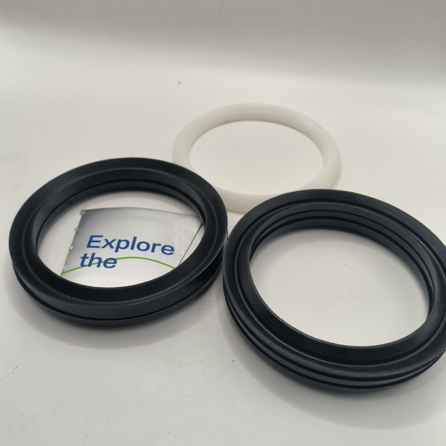 Chevron Packing Seal and Fabric-Reinforced Oil Seal O-Ring Hydraulic Seal