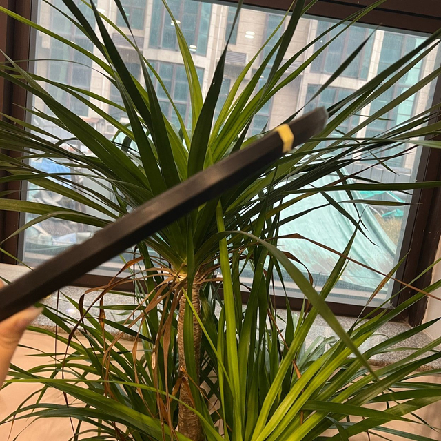 2024 New Innovations 1170*1234*25 R35 U-Type Fabric Reinforced Oil Seals